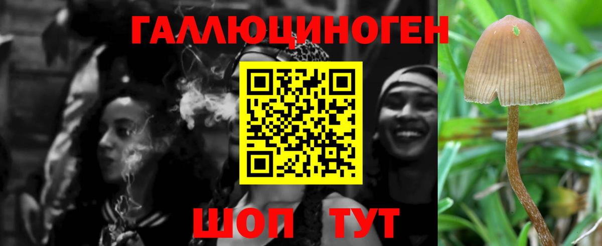 Псилоцибиновые грибы Psilocybine cubensis  Вход с VPN  Сафоново 