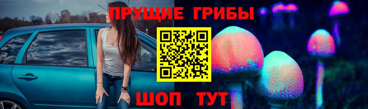 Псилоцибиновые грибы Psilocybe Сафоново
